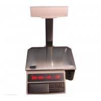 Весы с чекопечатью Digi SM100Р 